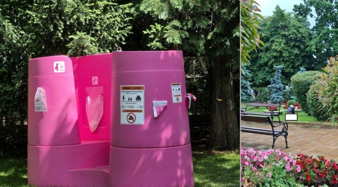 Toaleta publică roz care a divizat un oraș: unii o laudă, alții întreabă cum poți să îți faci nevoile într-o pungă în văzul lumii