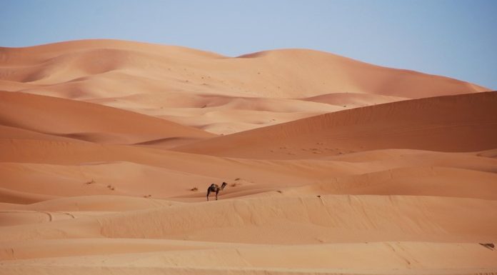 Deșertul groazei: 49 de oameni au murit de sete în Sahara, după ce au rămas blocați în deșert. Autoritățile se tem că mai sunt victime