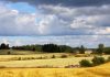 Prognoza meteo pentru următoarele două săptămâni. Temperaturile cresc până la 34 de grade, dar revin ploile