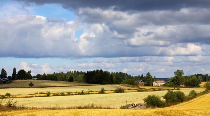 Prognoza meteo pentru următoarele două săptămâni. Temperaturile cresc până la 34 de grade, dar revin ploile