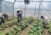 Agricultură cu drone și sere inteligente. Liceul în care specializările agricole redevin „la modă”