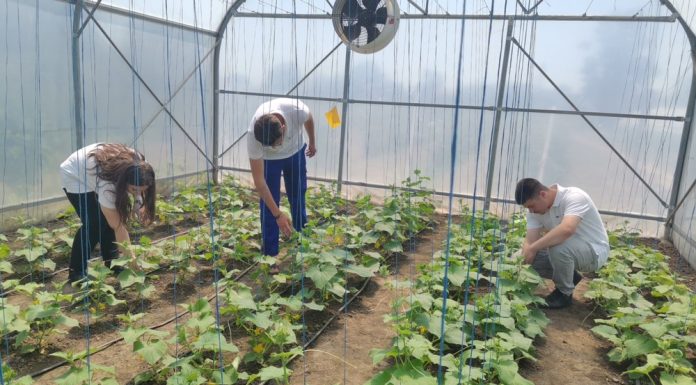 Agricultură cu drone și sere inteligente. Liceul în care specializările agricole redevin „la modă”