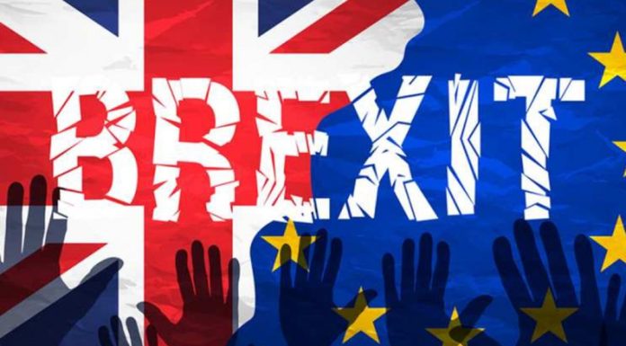 Brexitul costă Marea Britanie până la 30 de miliarde de lire pe an, susține un fost ministru de Externe al Regatului Unit