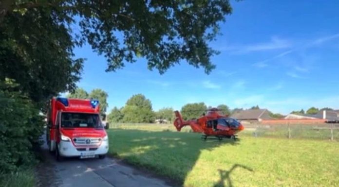 Crimă la o fermă de căpșuni din Germania. O româncă a fost înjunghiată mortal, agresorul a fost reținut