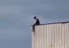 Momente de panică. Un adolescent de 14 ani, găsit pe acoperișul unei clădiri, cu picioarele atârnând în gol