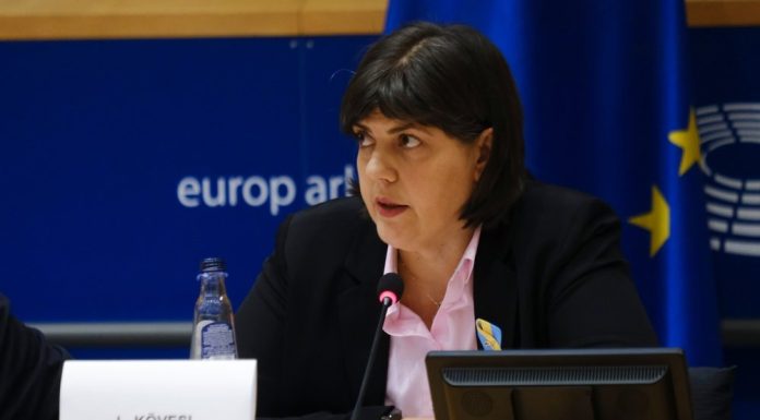Procurorii Parchetului European, conduși de Kovesi, fac percheziții în Timiș. Prefectul, suspectat de fraudă cu bani de la UE
