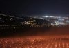 Ce recoltă a putut obține ferma din Cluj care în aprilie a încălzit plantația de cireși cu 4000 de lumânări