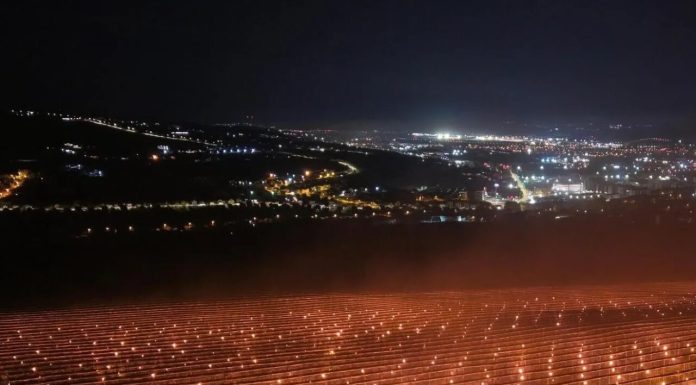 Ce recoltă a putut obține ferma din Cluj care în aprilie a încălzit plantația de cireși cu 4000 de lumânări