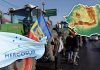 Mercosur, oportunitate sau calamitate pentru agricultura românească? Un celebru analist economic explică pentru Gândul cum poate câștiga România de pe urma controversatului acord