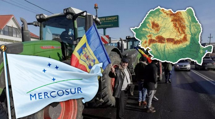 Mercosur, oportunitate sau calamitate pentru agricultura românească? Un celebru analist economic explică pentru Gândul cum poate câștiga România de pe urma controversatului acord