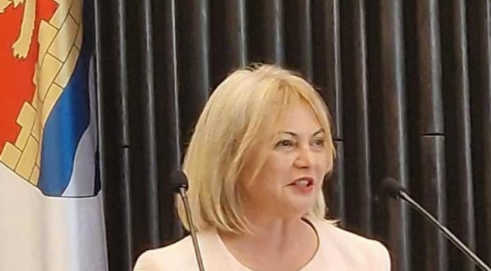 Elena Micicoi (USR) demisionează din funcţia de prefect de Timiş după ce a fost vizată de percheziţii ale Parchetului European