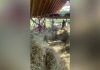 Turiștii străini au găsit o soluție să plătească puțin în România când vin în vacanță. „E o experiență activă”