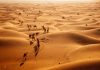 Paradoxul deșertului: Arabia Saudită importă nisip din Australia pentru marile sale proiecte de construcții