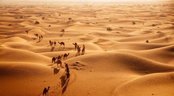 Paradoxul deșertului: Arabia Saudită importă nisip din Australia pentru marile sale proiecte de construcții