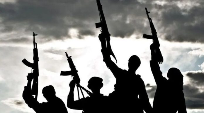 Răpirile de elevi se extind în Nigeria. Zeci de copii și profesori au dispărut din școli