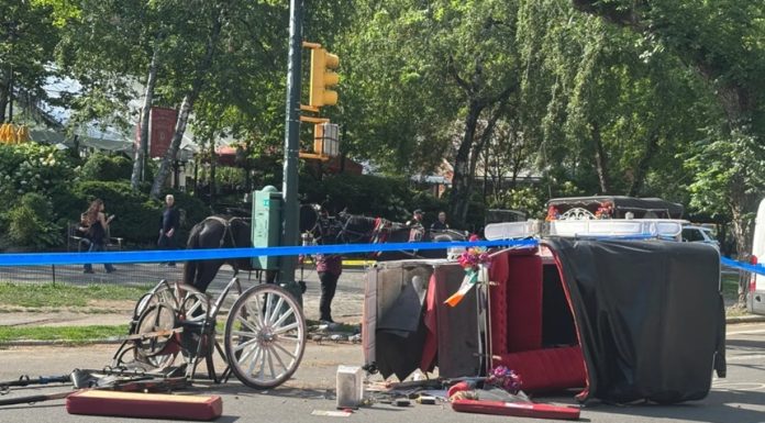 Un tânăr de 18 ani moare la New York, într-un accident de caleaşcă în Central Park. Mamdani vrea să pună capăt acestei atracţii turistice pentru ”binele cailor”