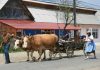 DECIZIE Apare ”Viața la țară” – platformă similară Booking, dar cu gospodării țărănești care fac agroturism. Noua platformă va raporta încasările la ANAF