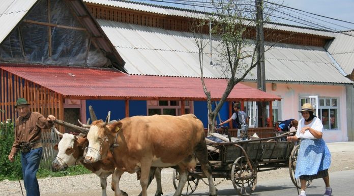 DECIZIE Apare ”Viața la țară” – platformă similară Booking, dar cu gospodării țărănești care fac agroturism. Noua platformă va raporta încasările la ANAF