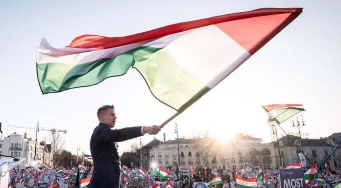 Budapesta și Kievul au ajuns la un acord privind minoritatea maghiară. Peter Magyar obține noi drepturi de la Zelenski