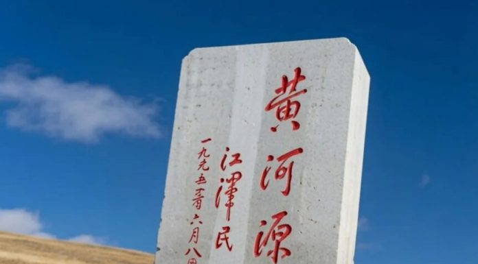 Cel mai celebru câine din China, cu milioane de urmăritori, a fost răpit și mâncat la preț derizoriu. Stăpânul luptă pentru dreptate
