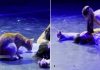 O pisică a devenit vedeta serii în timpul unui spectacol „Romeo și Julieta”. Reacția publicului a fost savuroasă