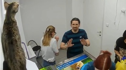 O pisică a făcut ravagii într-o clinică veterinară: a distrus mai multe lucruri și a rănit câțiva oameni
