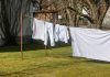 Românii își spală mai des rufele în regim eco