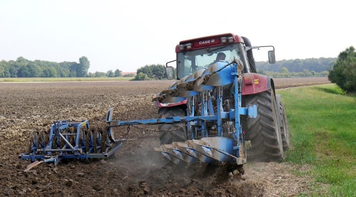 Tomac are în vedere credit agricol pentru investiții, cu garanții de stat de 90%, pentru o perioadă de rambursare de 15–20 ani