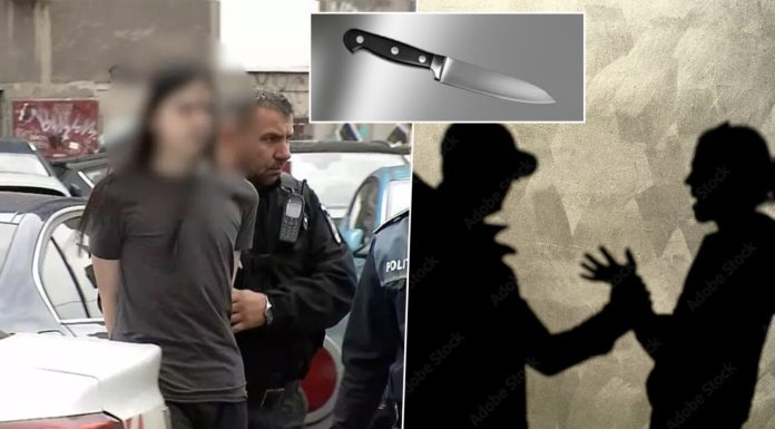 Cum a scăpat de la școala de corecție elevul premiant care și-a înjunghiat profesoara de japoneză