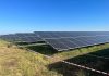 VIDEO Investiție majoră în România. Cel mai mare parc fotovoltaic din țară este acum oficial conectat la rețea
