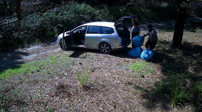 Un cetățean român a fost expulzat din provincia Napoli după ce a fost acuzat de deversarea ilegală de deșeuri toxice în Parcul Național Vezuviu