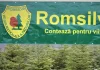 ICCJ a dat verdictul într-un dosar cu miză uriașă. Decizie surprinzătoare în cazul bonusurilor uriașe de pensionare din Romsilva