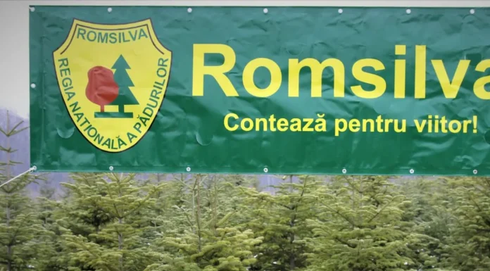 ICCJ a dat verdictul într-un dosar cu miză uriașă. Decizie surprinzătoare în cazul bonusurilor uriașe de pensionare din Romsilva