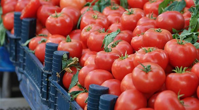 EXCLUSIV ULTIMA ORĂ Caz grav în supermarket descoperit de ANAF și Vamă: Cantități foarte mari de legume și fructe aduse din Turcia sunt reetichetate ca produse în România și vândute în unul din cele mai mari lanțuri, în toată țara