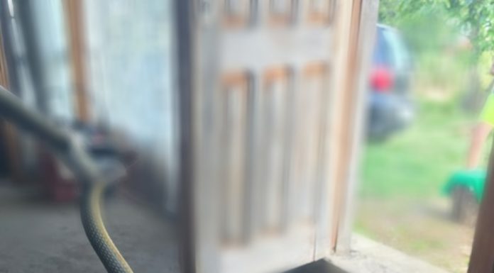 Tulcea: Jandarmii au îndepărtat un şarpe care a intrat într-o locuinţă şi s-a ascuns în spatele unui dulap