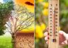 Raport Copernicus. A doua cea mai caldă lună mai înregistrată vreodată la nivel global. Crește frecvența fenomenelor meteo extreme