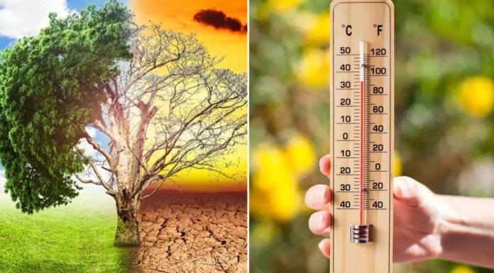 Raport Copernicus. A doua cea mai caldă lună mai înregistrată vreodată la nivel global. Crește frecvența fenomenelor meteo extreme