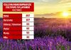 De la câmpuri parfumate la cosmetice și uleiuri esențiale. Lavanda atrage tot mai mulți români și investitori