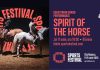 20 de cai intră în Sala Polivalentă din Cluj pentru „Spirit of the Horse”. Arena este pregătită cu 120 de tone de nisip