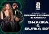 Cupa Mondială: Shakira va cânta la ceremonia de deschidere din Mexic