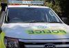 Polițistă moartă după ce a fost lovită de o mașină când intervenea la un accident rutier