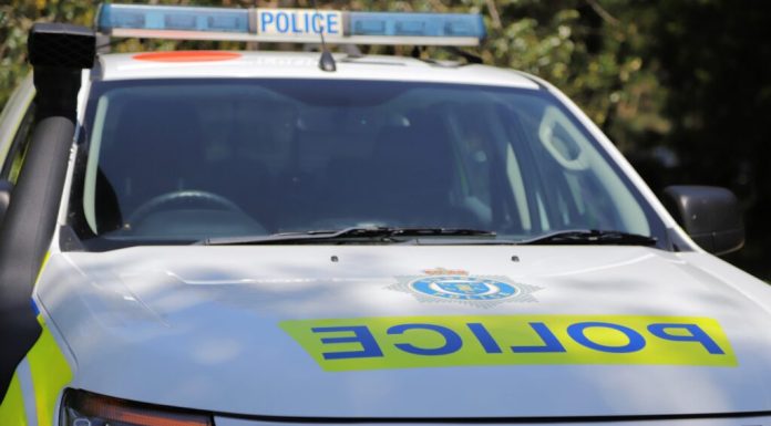 Polițistă moartă după ce a fost lovită de o mașină când intervenea la un accident rutier