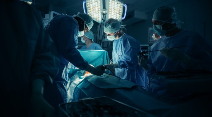Premieră medicală. Un bărbat aflat în moarte cerebrală a primit simultan rinichi și ficat de porc modificat genetic