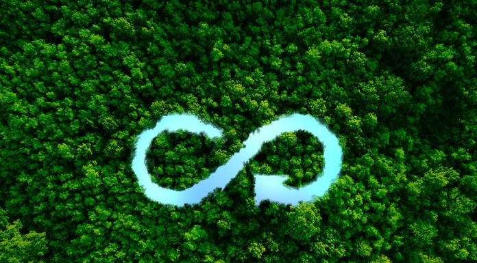 Economia circulară, soluția simplă pentru mai puțină risipă. Cum reduci deșeurile fără să-ți complici viața