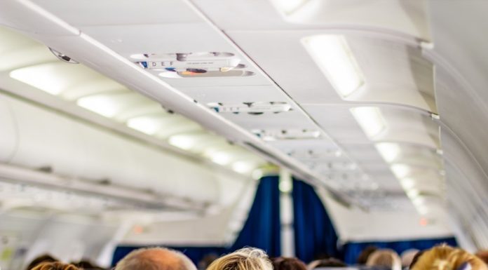 Un șobolan a fost filmat la bordul unui avion care zbura spre New York, la clasa business. Imaginile au devenit virale. VIDEO