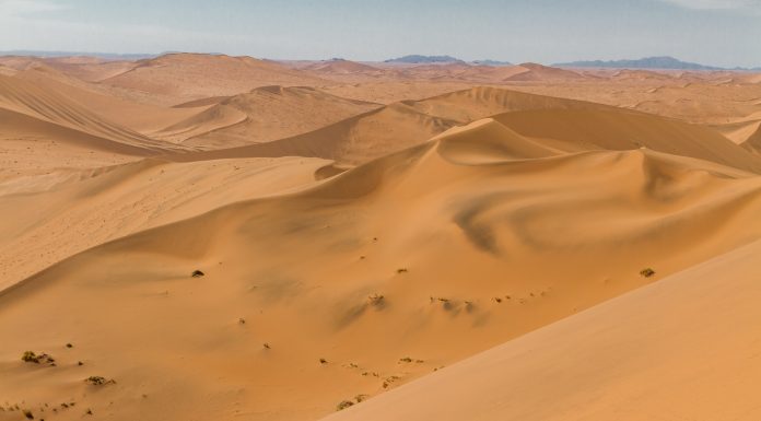 Aproape 50 de persoane au murit de sete în Sahara după ce camionul cu care călătoreau s-a defectat în deșert