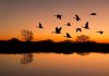 Un lac dispărut de peste un secol a revenit spectaculos, apoi a început să se evapore din nou