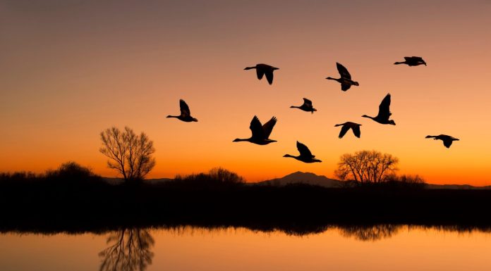 Un lac dispărut de peste un secol a revenit spectaculos, apoi a început să se evapore din nou