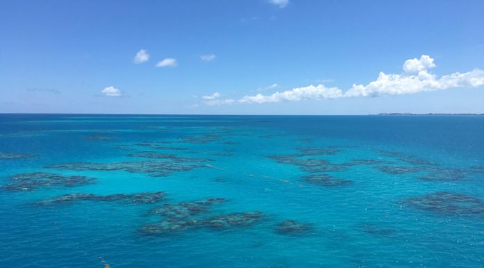 UE, cu „ochii” pe oceanele lumii. Ce este proiectul OceanEye, lansat de Comisia Europeană