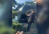 Ce se întâmplă cu polițiștii locali care l-au lovit șoferul TIR-ului care provocat haos în Constanța